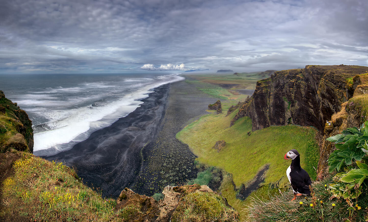 South-coast-dyrholaey-puffin-black-sand-beach.jpg thumbnail