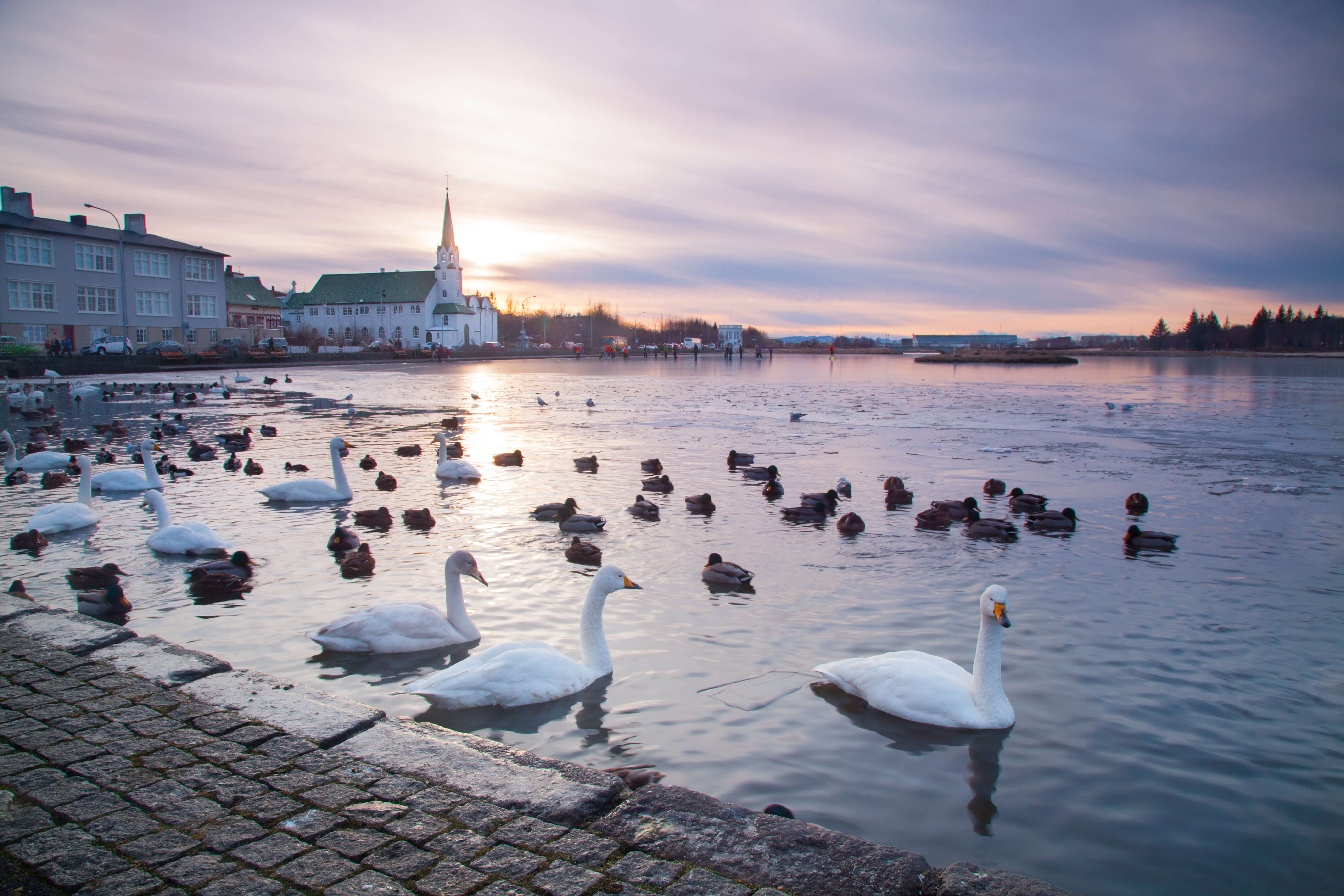 Reykjavik_2.jpg thumbnail