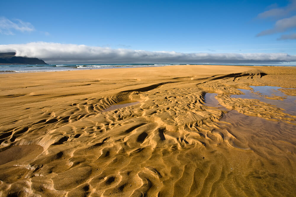 20080708-IMG_6661.jpg thumbnail