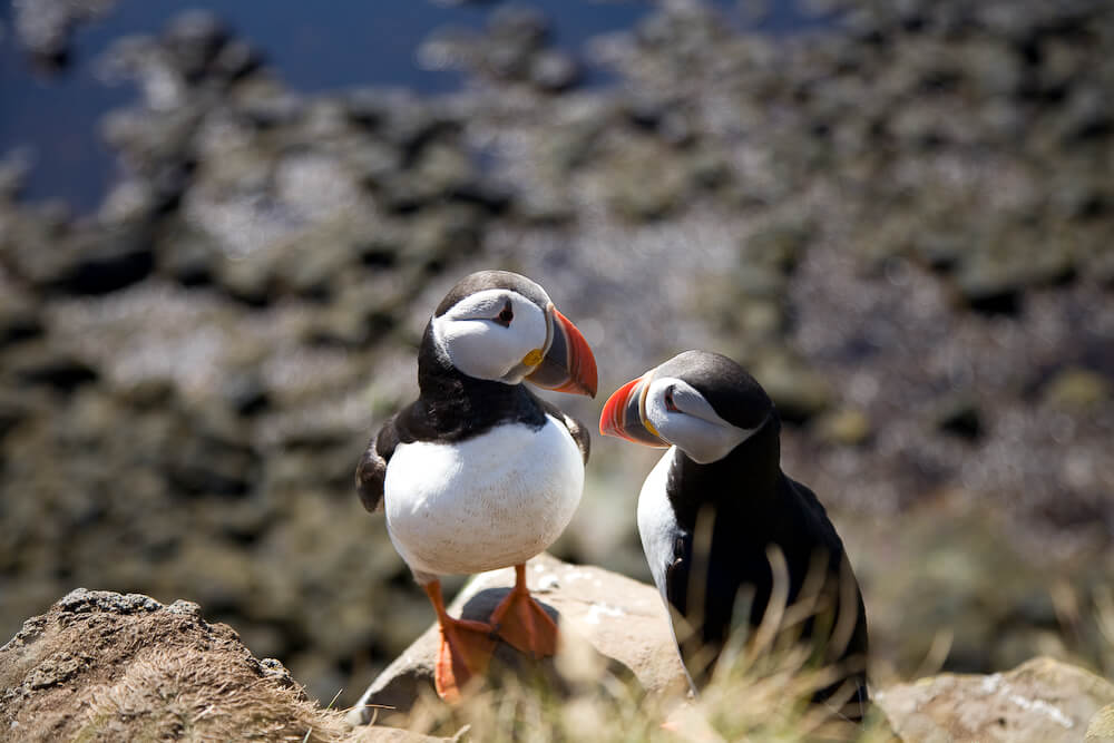 20080719-IMG_8857.jpg thumbnail